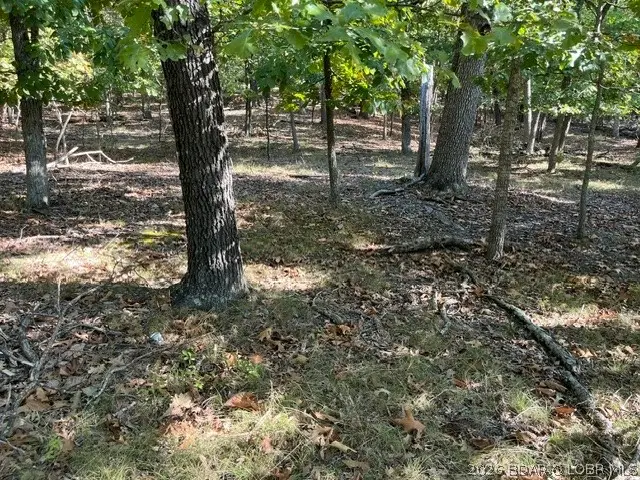 1371A Via Del Lago Drive, Sunrise Beach, MO 65079 - #3