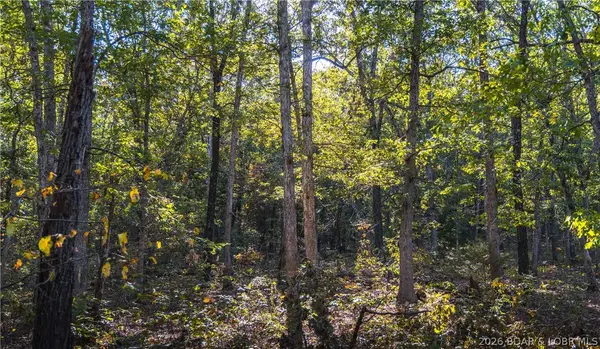 50 acres Partridge Drive, Climax Springs, MO 65324