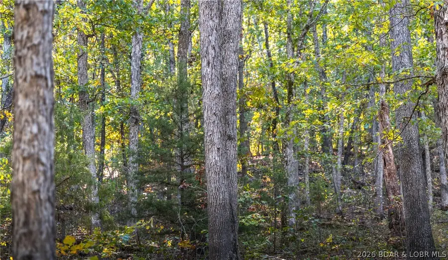 50 acres Partridge Drive, Climax Springs, MO 65324 - #3