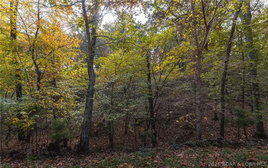 Lot 314 Cherry Hill Drive, Lake Ozark, MO 65049 - #3
