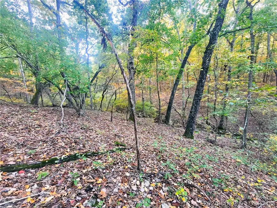 45 Bear Creek Road, Brumley, MO 65017 - #3