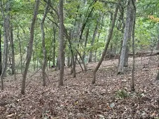 LOT 709 Muirfield Drive, Jasper, MO 65079 - #3