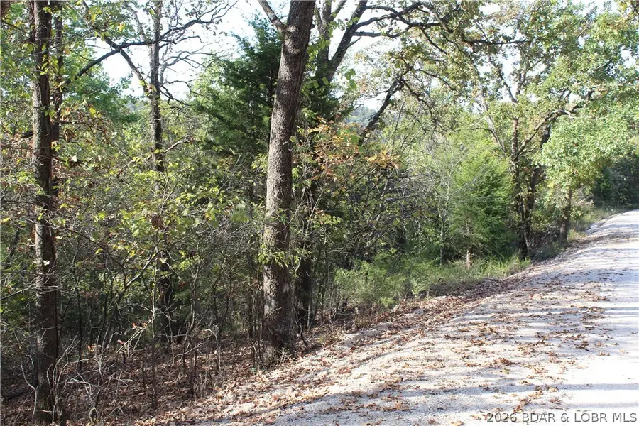 2.5 acres Cape Wood Drive, Linn Creek, MO 65052 - #2