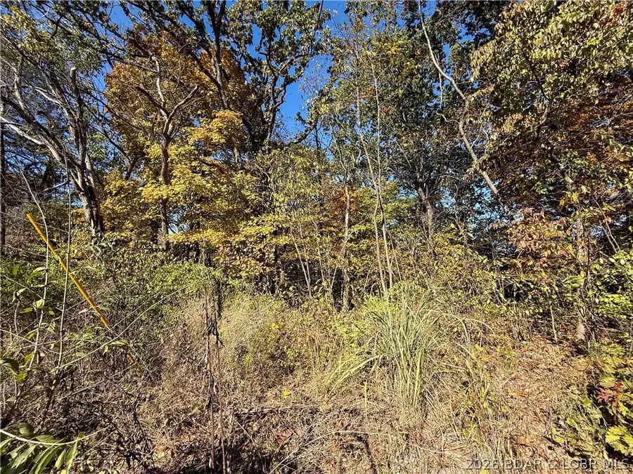 Lots 19 & 20 Walnut Hills Rd, Stover, MO 65078 - #2