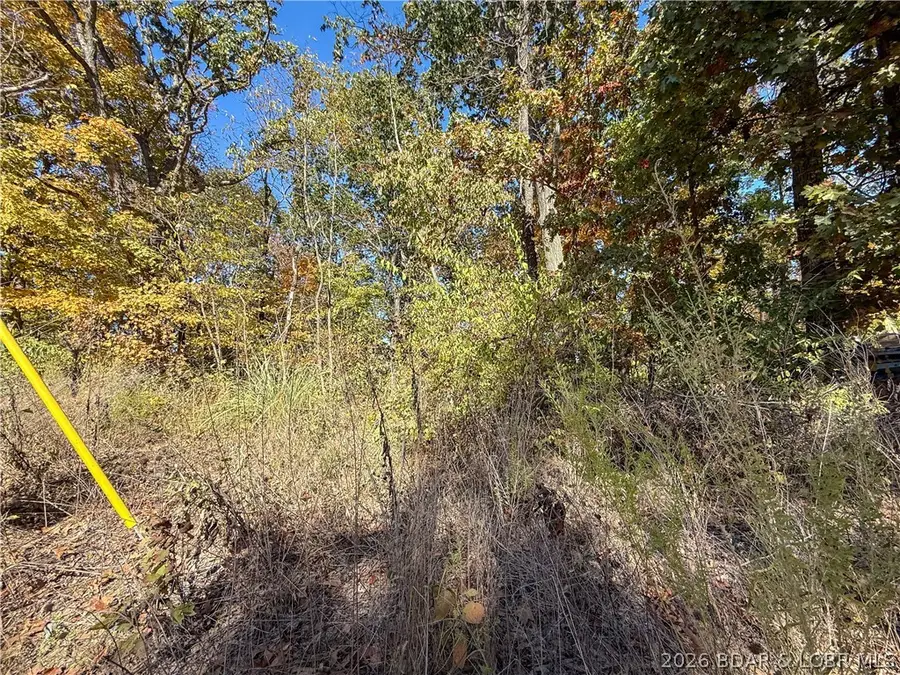 Lots 19 & 20 Walnut Hills Rd, Stover, MO 65078 - #3