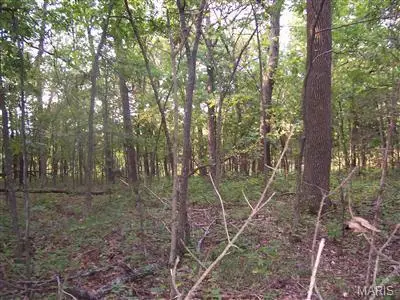 0 W Outer Road, Farmington, MO 63640 - Image #1