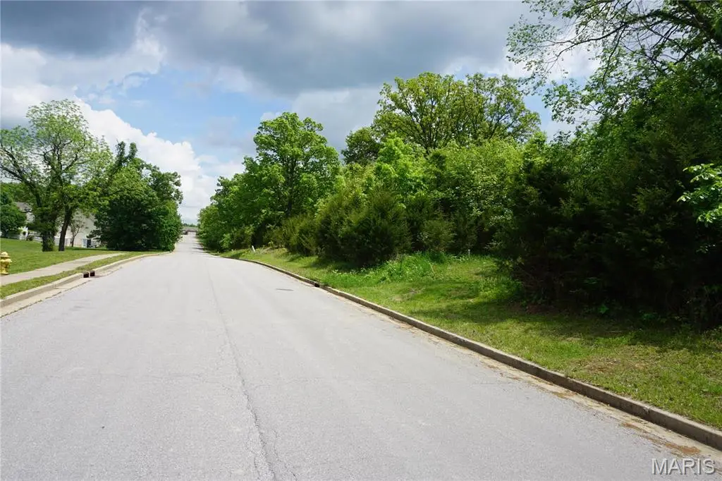 0 Columbia Avenue Lot 21, Rolla, MO 65401 - Image #1