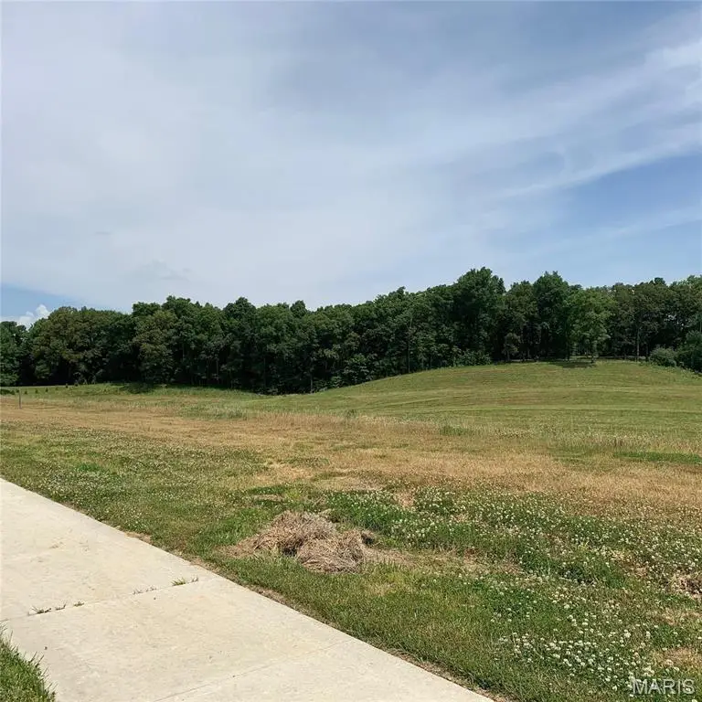 1427 Chardonnay Lane, Cape Girardeau, MO 63701 - Image #2