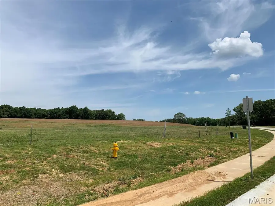 4516 Doe Run, Cape Girardeau, MO 63701 - Image #3