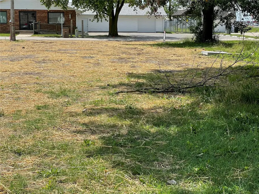 518 N Douglas Street, Litchfield, IL 62056 - Image #2