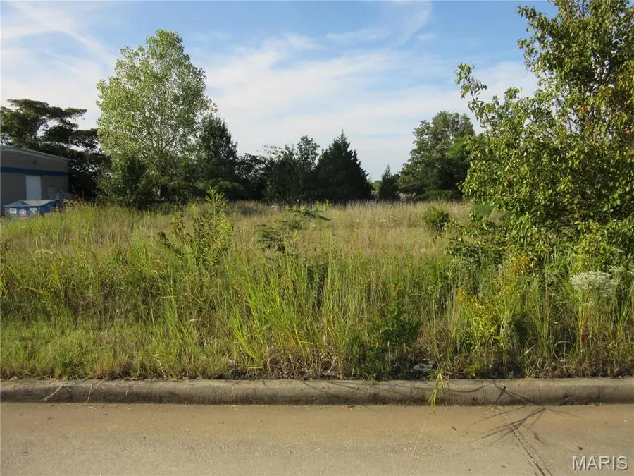 0 Eugene Blvd., Poplar Bluff, MO 63901 - Image #3