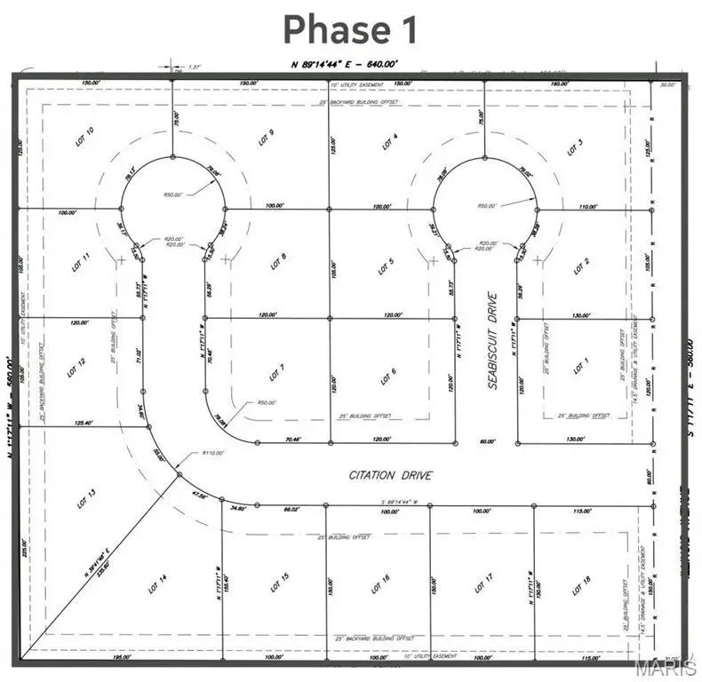 304 Seabiscuit Drive, Sikeston, MO 63801 - Image #3