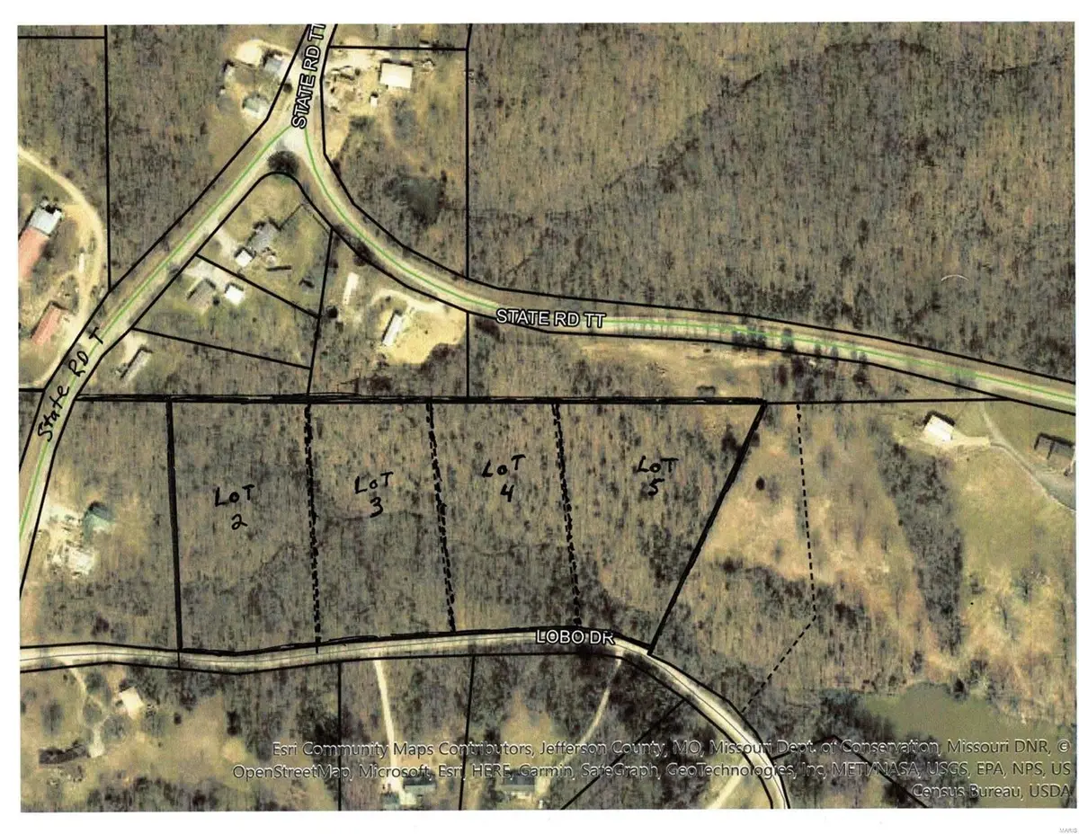 0 Lobo Dr. Lot 3, Festus, MO 63028 - Image #1