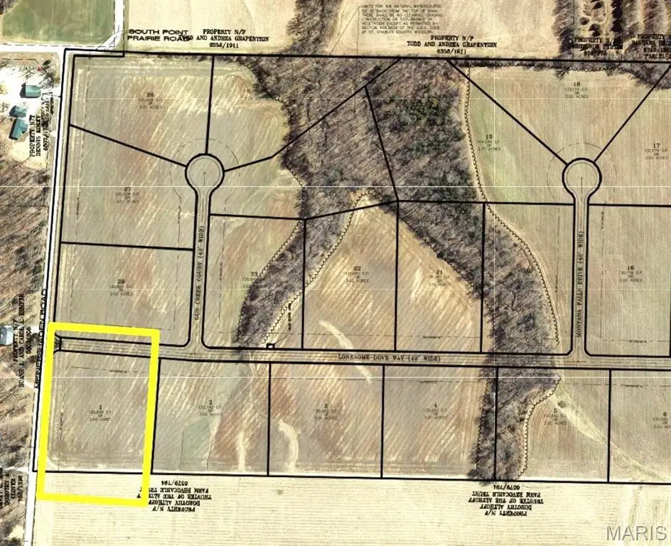 101 Lonesome Dove Way, Wentzville, MO 63385 - #1