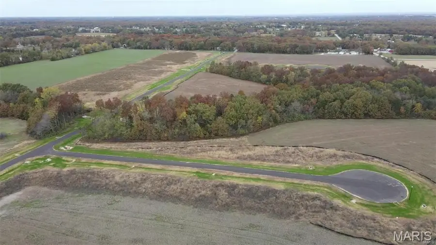 101 Lonesome Dove Way, Wentzville, MO 63385 - #3