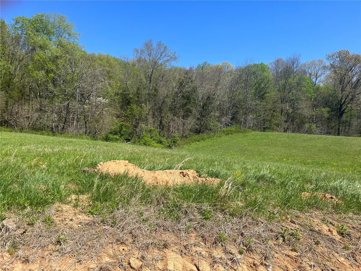 6 Cr 528, Fredericktown, MO 63645 - Image #1