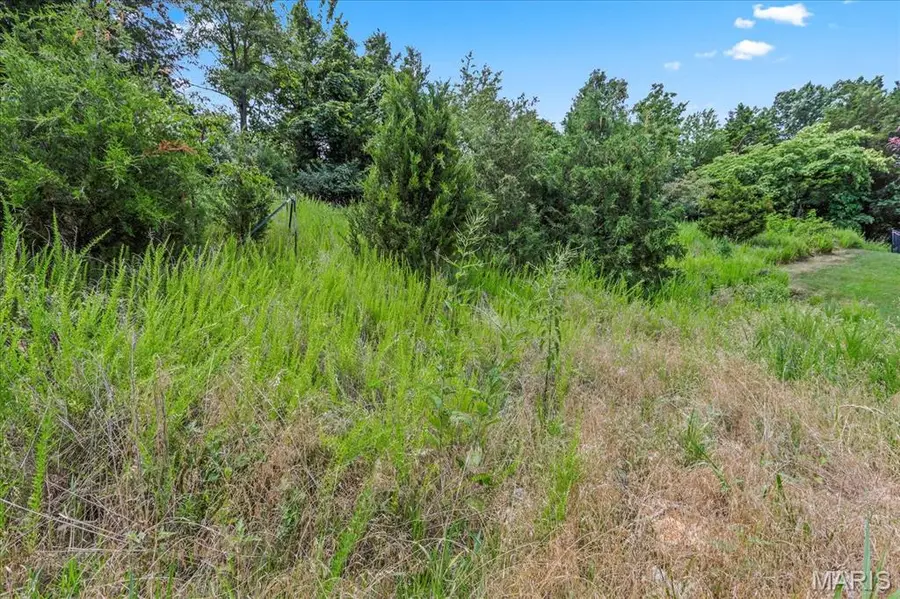 1185 Scheel Lane, Fenton, MO 63026 - Image #3