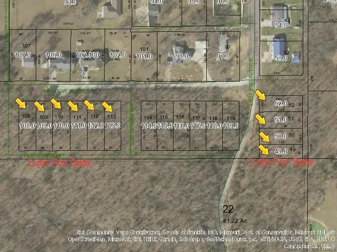 0 Walnut (lots 49-52) Street, Gerald, MO 63037 - Image #2