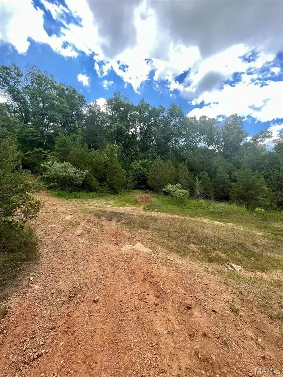 9100 Hill Drive, Bonne Terre, MO 63628 - Image #2