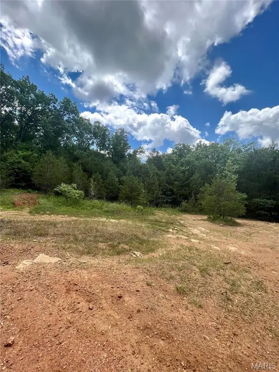 9100 Hill Drive, Bonne Terre, MO 63628 - Image #3