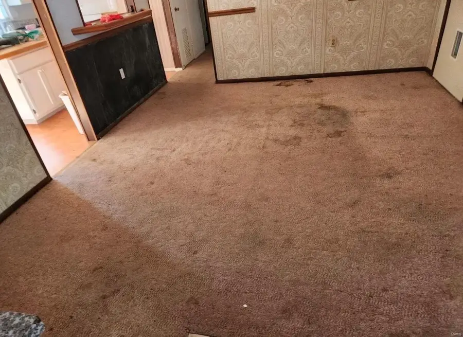 328 Michael Lane, Ironton, MO 63650 - Image #3