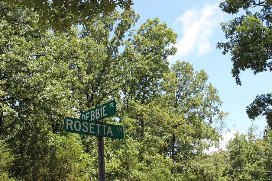 0 Debbie Place, Bonne Terre, MO 63628 - Image #3