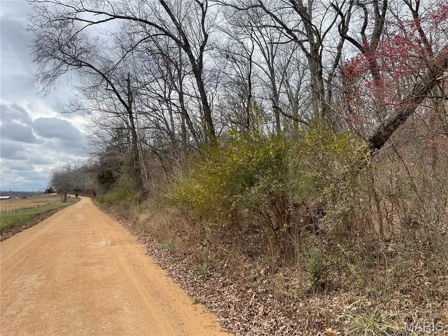 0 County Road 160 E-4, Doniphan, MO 63935 - Image #2