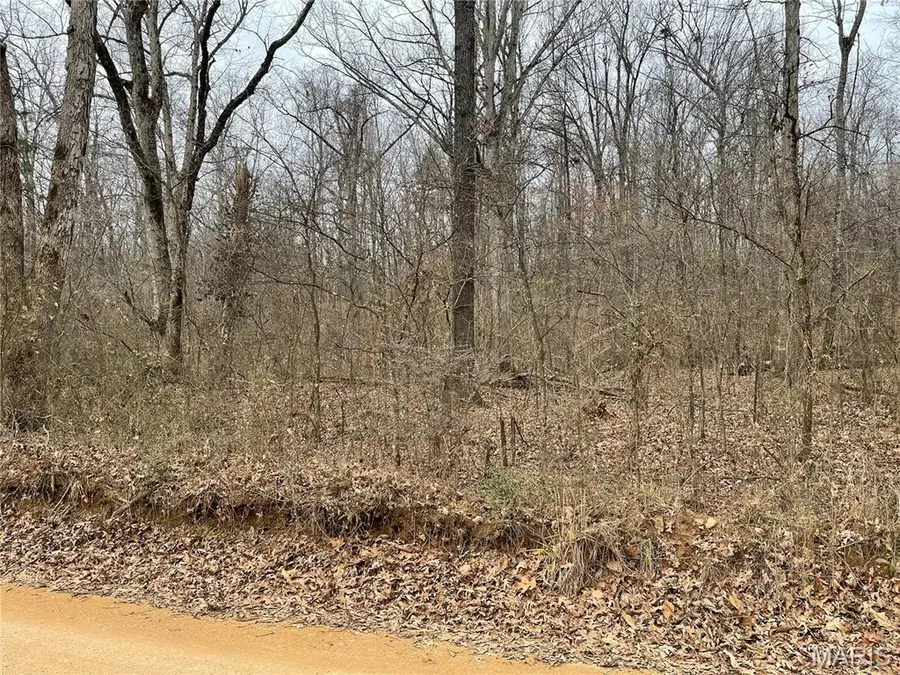 0 County Road 160 E-4, Doniphan, MO 63935 - Image #3