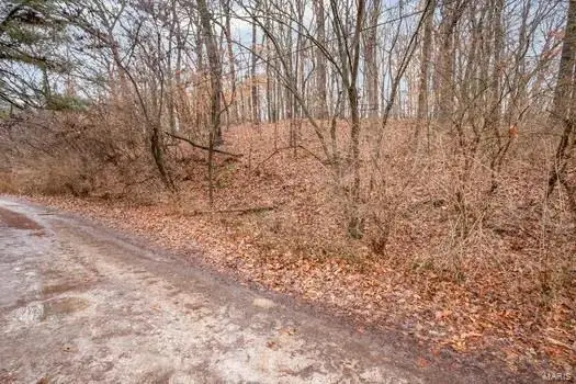 2149 Linnus Drive, High Ridge, MO 63049 - Image #3