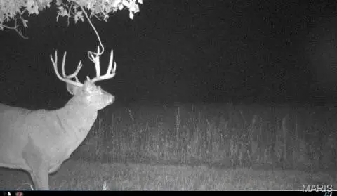 0 Ne 63rd Avenue, Galt, MO 64683 - Image #3