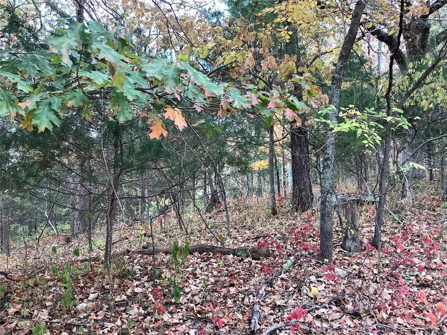 1339 Wings Road, Saint Albans, MO 63073 - Image #3