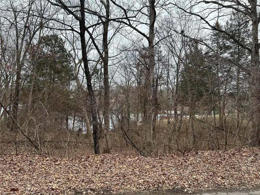 0 Section 5 Lots 10 & 11, De Soto, MO 63020 - Image #3