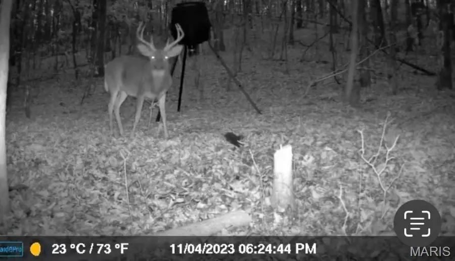 0 Hwy 60, Van Buren, MO 63965 - Image #3