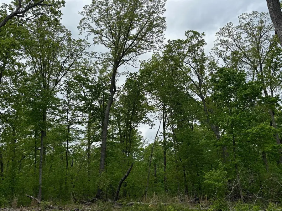 2834 Tyrolean Way Drive, Innsbrook, MO 63390 - #2