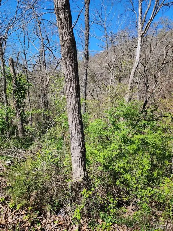 0 Dodd Road, Waynesville, MO 65583 - Image #1