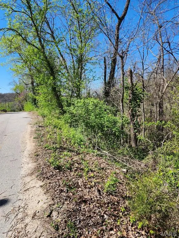 0 Dodd Road, Waynesville, MO 65583 - Image #2