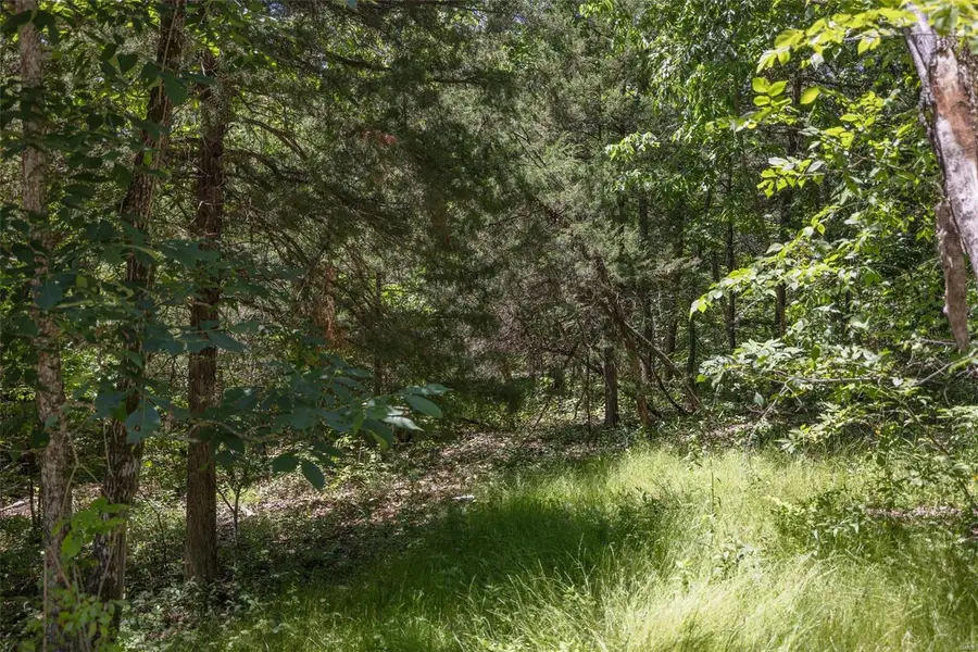 2543 Alpine Woods Drive, Innsbrook, MO 63390 - Image #2