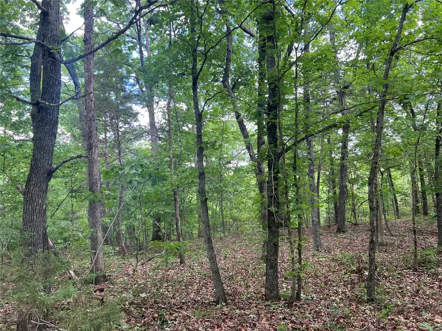 12 Acre Lot, Dittmer, MO 63023 - Image #3