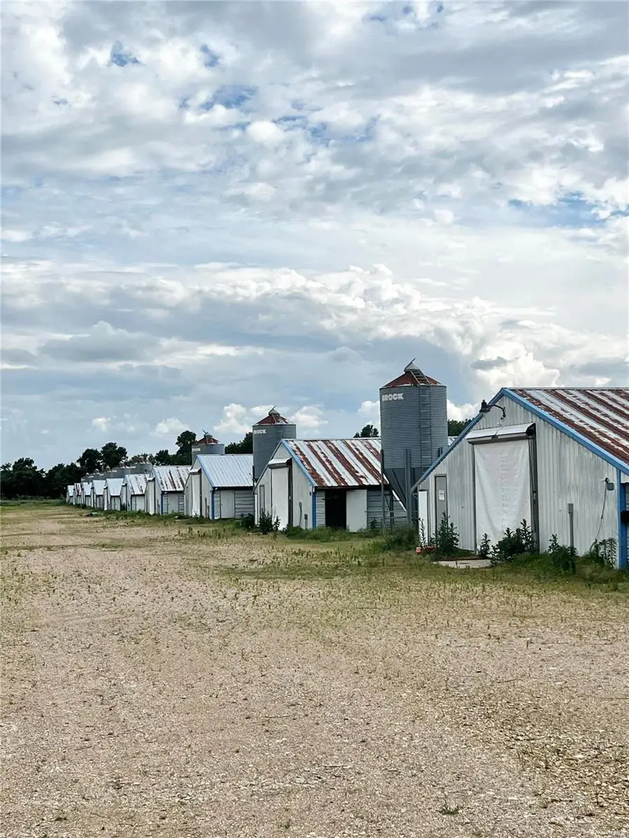 7424 County Road 420, Duck Creek, MO 63960 - Image #3