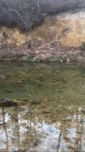 61 Madison Cr 410, Fredericktown, MO 63645 - Image #2