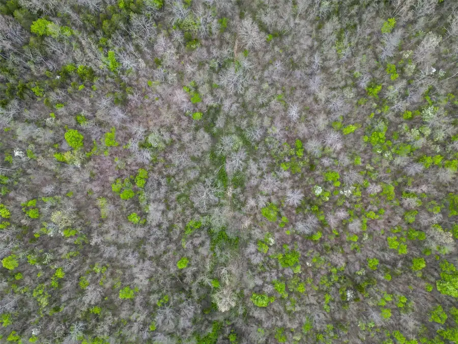 0 Creek Road, Hartville, MO 65667 - Image #2