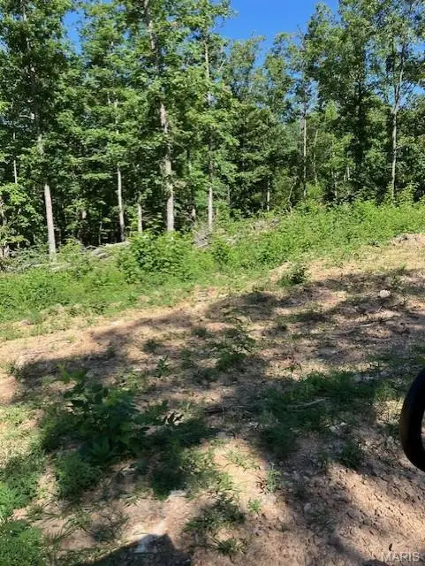 62 Madison Cr 410, Fredericktown, MO 63645 - Image #2