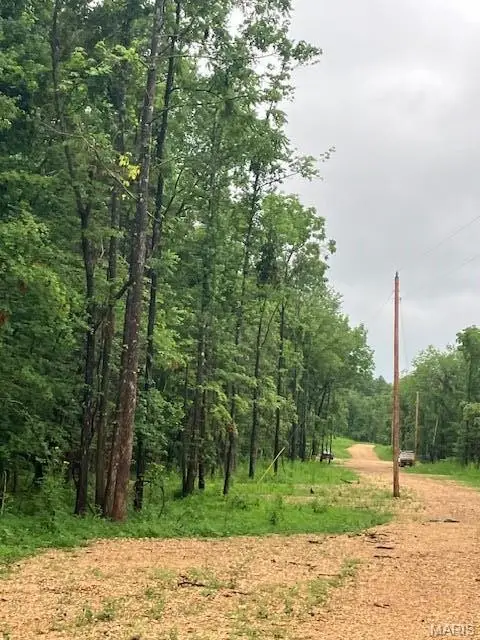 72 Madison Cr 410, Fredericktown, MO 63645 - Image #1