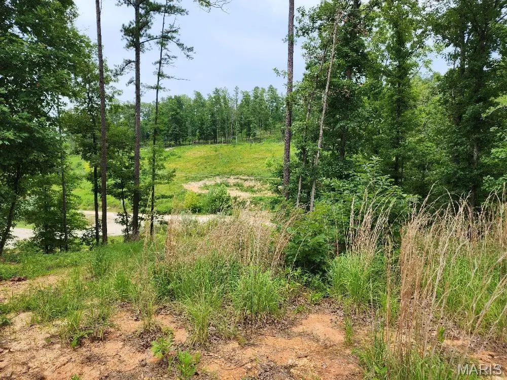 300 William, Van Buren, MO 63965 - Image #1