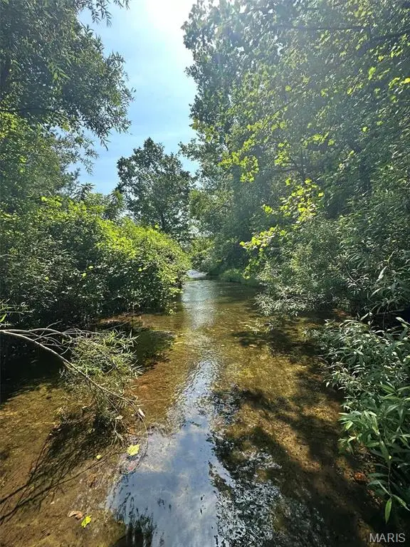 0 N Czar Tower (17.18 Acres) Road, Steelville, MO 65565 - Image #3