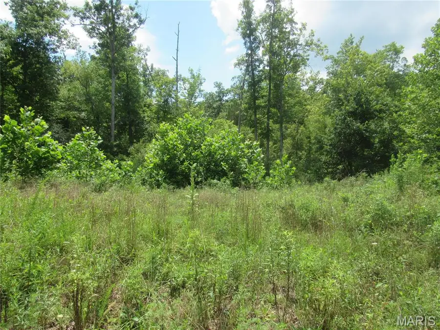 0 S Czar Tower (20.62 Acres) Road, Steelville, MO 65565 - Image #3