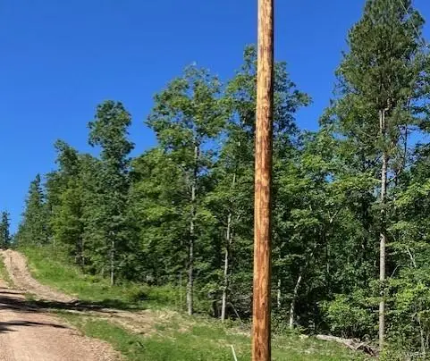 76 Madison Cr 410, Fredericktown, MO 63645