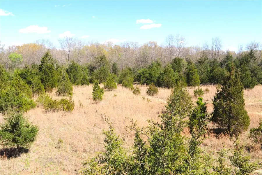 1 Cinque Hommes Drive, Perryville, MO 63775 - Image #2