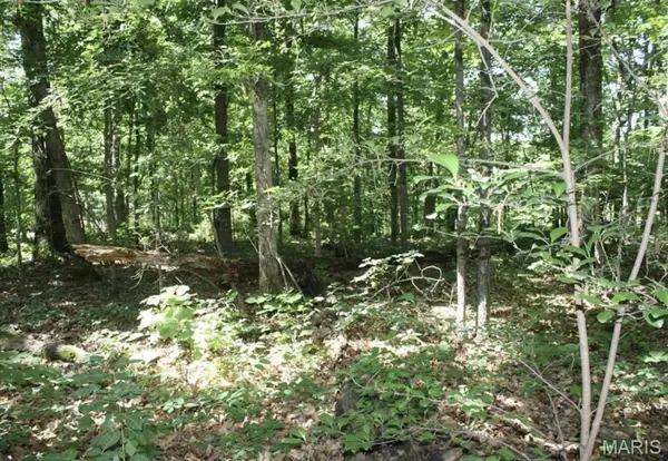 9 Mattingly, Wappapello, MO 63966