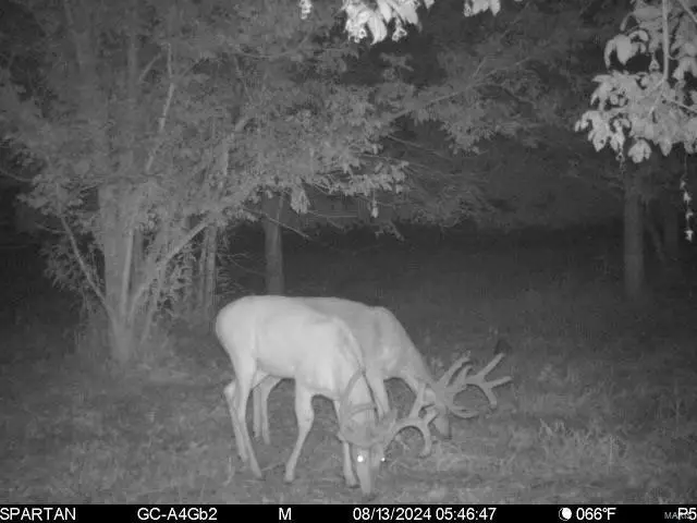 22 Hematite Farms Rd, Festus, MO 63028 - #3